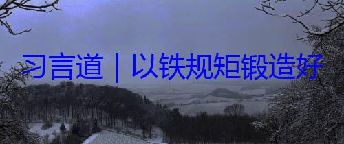 好作风习言道以铁规矩锻造